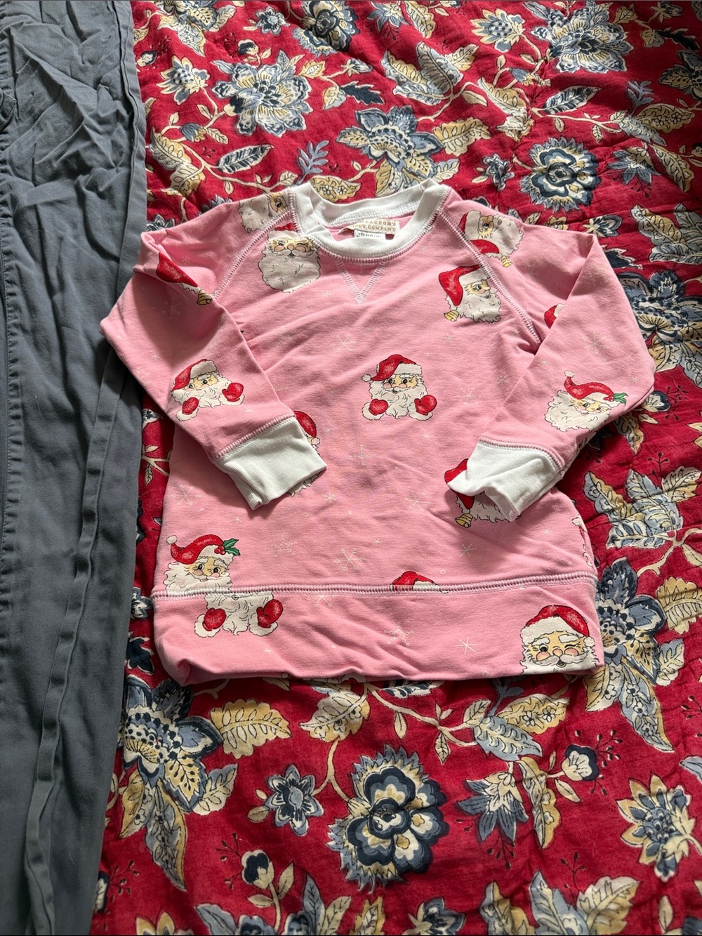 The Beaufort Bonnet Company- Santa sweatshirt